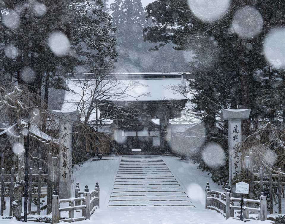 白い絶景、雪景色 写真でおでかけ気分 | スポットリスト