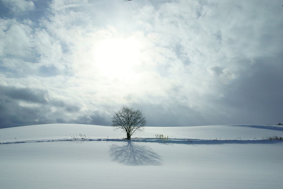 冬だけの感動の風景 写真で巡る全国の雪景色 スポットリスト